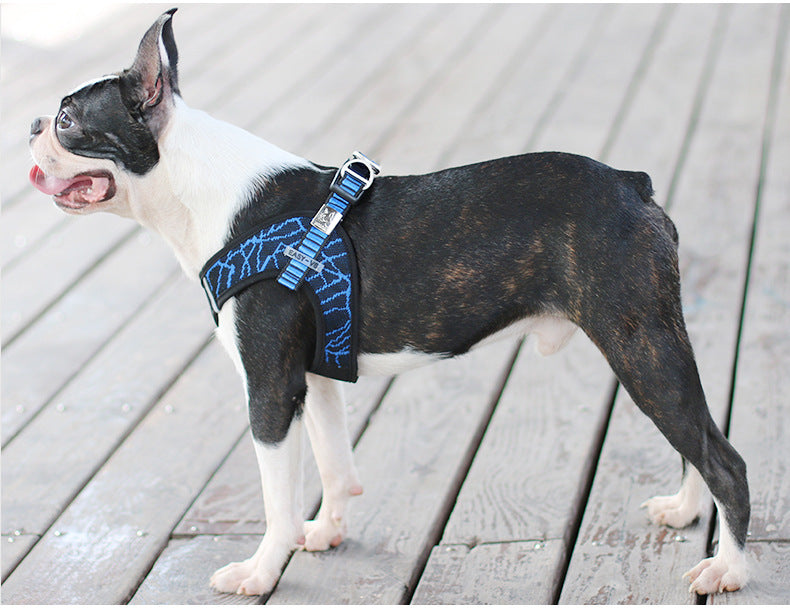 Adjustable Pet Harness & Leash Set