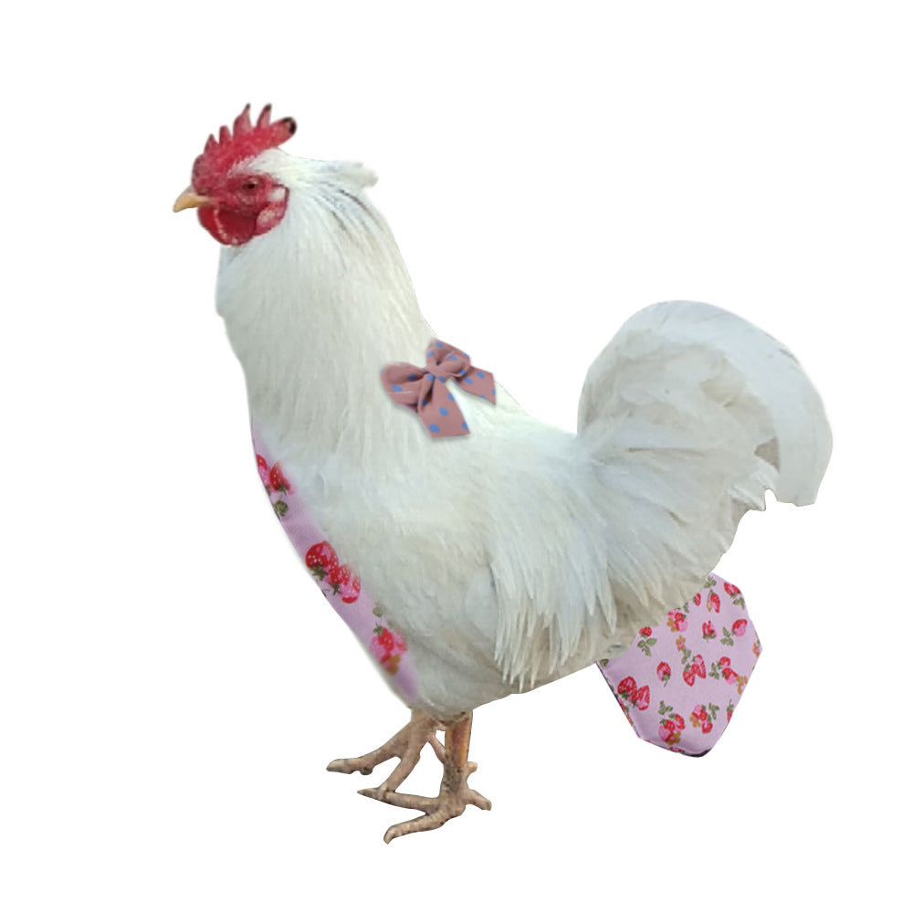 Pet Diapers for Chickens, Ducks & Geese – Keep Your Feathered Friends Clean & Comfortable