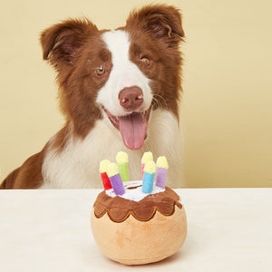 Pet Plush Birthday Cake Toy  Celebrate Your Pet’s Special Day